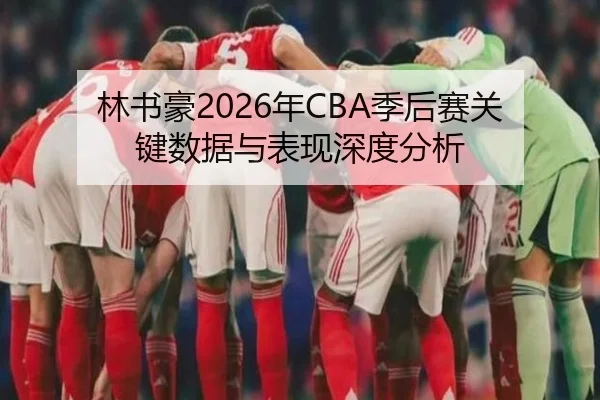林书豪2026年CBA季后赛关键数据与表现深度分析