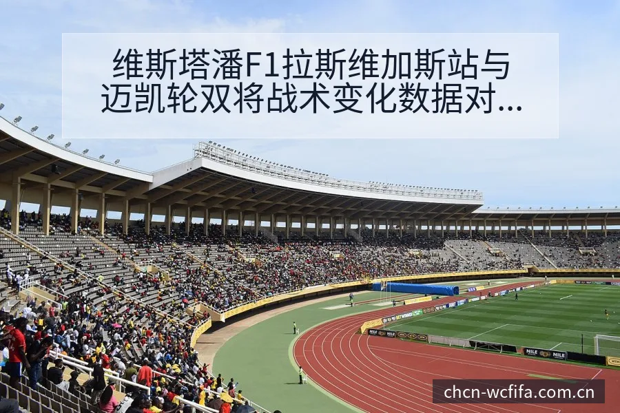 维斯塔潘F1拉斯维加斯站与迈凯轮双将战术变化数据对比分析 - 世界杯
